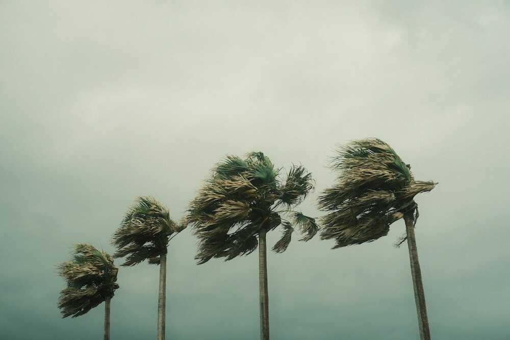 Preparing for Hurricane Season in South Florida